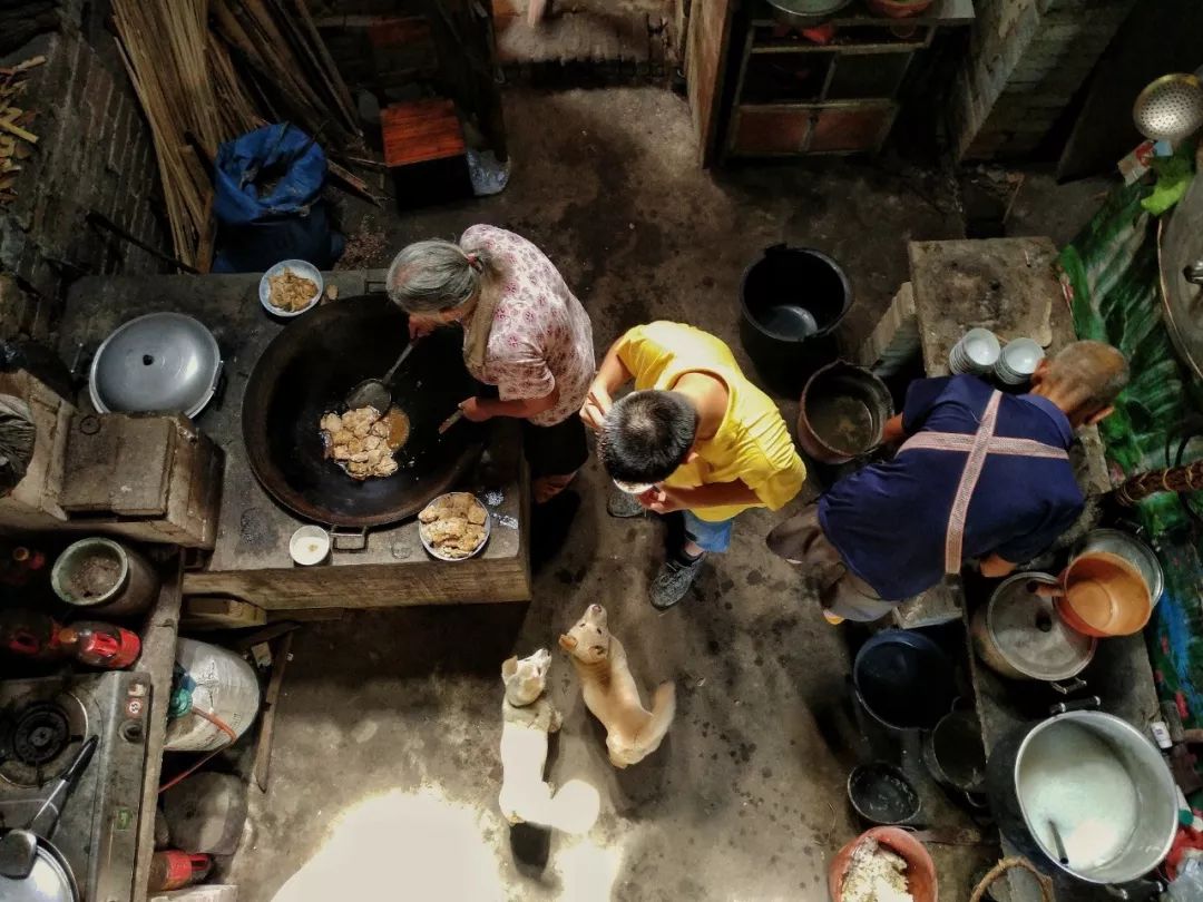 第 2 届“Wanpy 顽皮杯”中国宠物摄影大赛获奖作品公布