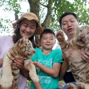 双胞胎白虎宝宝惹人爱（图片新闻）