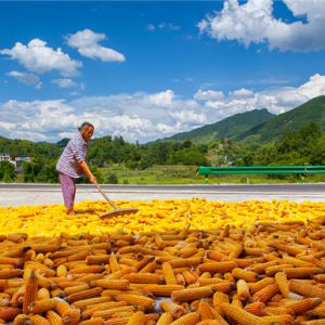 金秋田园“奏响”大地颂歌 梁平第一届晒秋节摄影大赛开始