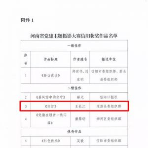 信阳市委组织部发函淮滨对支持“党徽闪耀中原”主题摄影致谢（图）