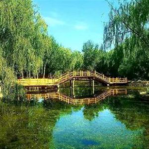 全市首届文化市场综合执法人员手机摄影大赛优秀作品选登