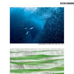 物流與生活——18/08期：讀圖之第一屆珠海國際攝影展部分作品選登