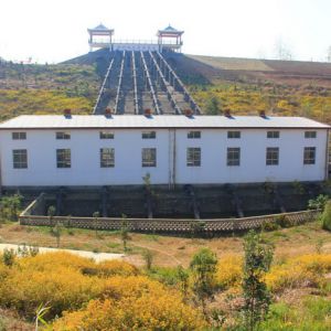 河南淮滨：“猪拱城”如今风景这边独好（组图）