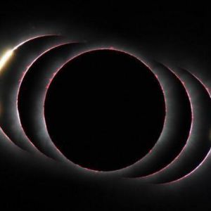 英舉行科學攝影比賽 展示自然與科學之美