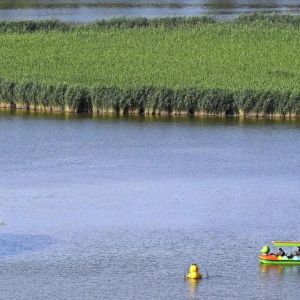 “我的湿地，我的家”主题征文摄影大赛启动