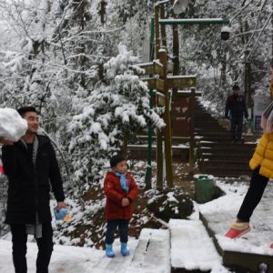 瑞雪迎新年
