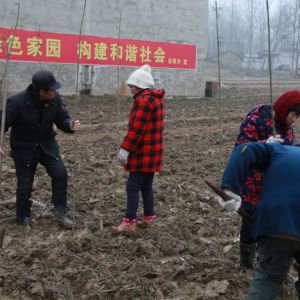 河南:淮河之滨水清岸绿空气更清新（组图）