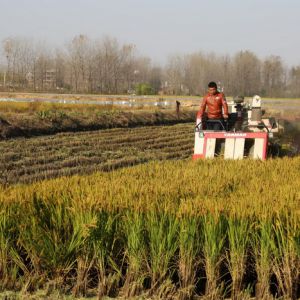 河南淮滨：24小时坚守在河道的“巡河人”（组图）