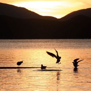冬日泸沽湖