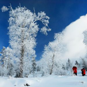 “中国雪乡”风光摄影展征稿启事