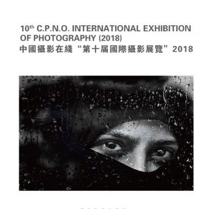 十年——十個(gè)展覽和十本畫(huà)冊(cè)