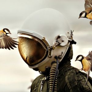 2019 Sony 世界摄影奖公开组得奖名单出炉，香港摄影师夺冠