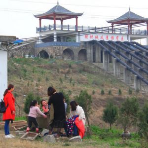 河南淮滨：春到淮河岸染绿“猪拱城”（组图）