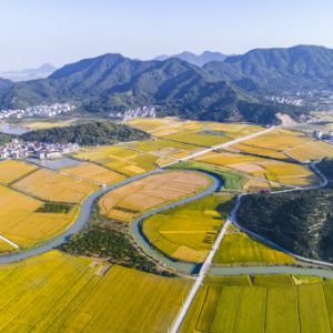 “鲜甜三门·醉美花桥”全国摄影大展征稿启事