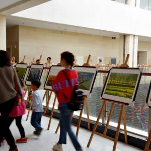 河南淮滨：湿地摄影展吸引众多游人观展（组图）
