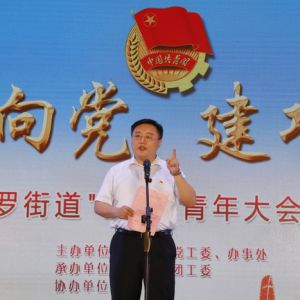 深圳宝安燕罗街道举行“五四”青年大会暨文艺汇演
