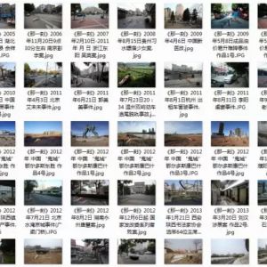 區志航丨“俯臥撐”2015年度盤點