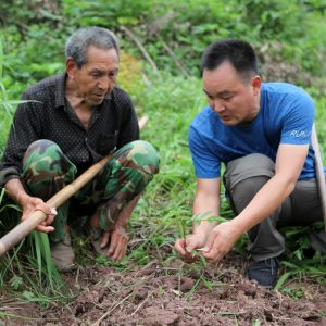永川：齐心协力脱贫攻坚（图片新闻）
