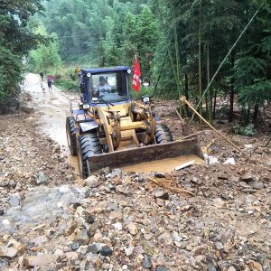 大埠岗镇组织民兵投入抗洪抢险救灾