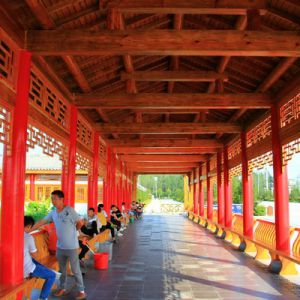 河南息县森林公园美如画（组图）