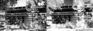 1958年——弗蘭克·勞埃德·賴特的魯丁之家