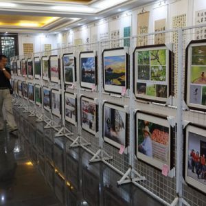 河南淮滨举办庆祝新中国成立70周年书法、美术、摄影作品展（组图）
