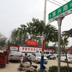 河南淮滨：罗营村村道城市化令人眼前一亮（组图）