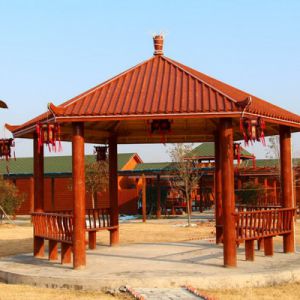 河南淮滨：云曼小庄风景这边独好（组图）