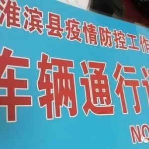 河南淮滨：这名男子真胆大！伪造通行证上路（图）