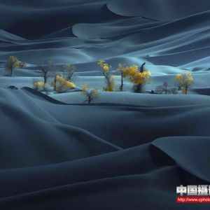 第44屆西班牙"TROFEU TORRETES"大獎賽結果揭曉