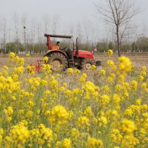 河南淮滨：美丽王湾让人醉！（组图）
