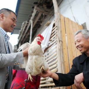 人大代表带动81户贫困户实现稳定增收（图片新闻）