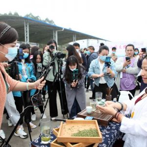 永川：女干部为农代言 助力脱贫攻坚（图片新闻）