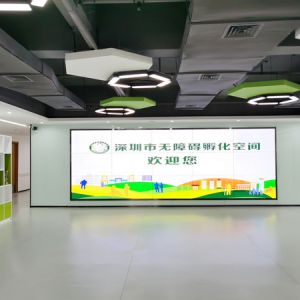 全国首个无障碍事业产业创新孵化基地在深圳启动