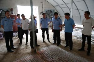 河南淮滨：罗营村脱贫桑蚕又一年（组图）