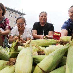 永川：“组团”消费扶贫解难题（图片新闻）