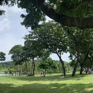 宜居，珠澳（13:00——14:00）