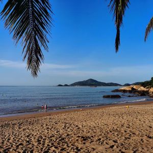 濱海，珠澳（14:00——15:00）
