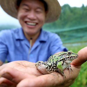 江西宜丰：“一田两收”富农家