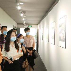 第八届“沣标杯”国际听障摄影获奖作品展在深圳福田美术馆巡展