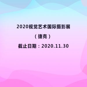2020视觉艺术国际摄影展（捷克）