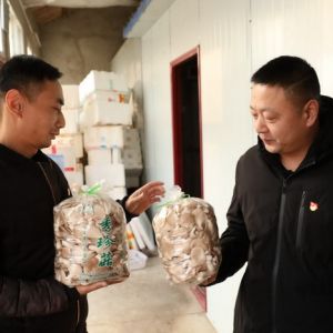 河南淮滨：冲锋在贫困村主战场的两退役军人（组图）