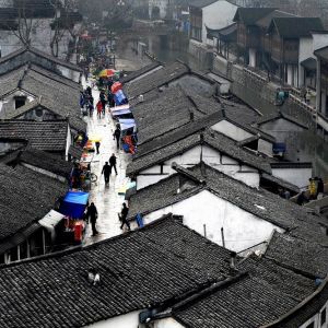不只是在生活中發現——讀單瑾先生攝影作品