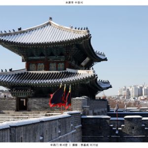 雙城·印象 韓國·水原市作品之四