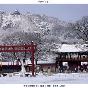 雙城·印象 韓國·水原市作品之五