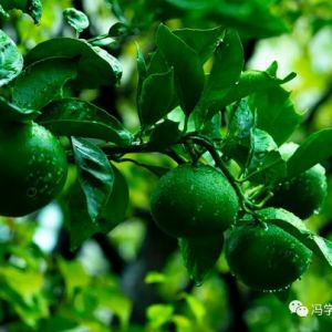 【散步印象】（91）