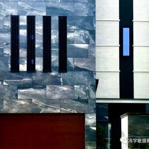 旅日著名摄影师冯学敏的《散步印象》光与影系列集锦No.1