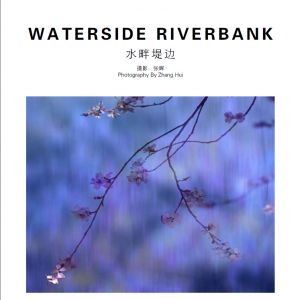 四季池塘系列之一水畔堤邊