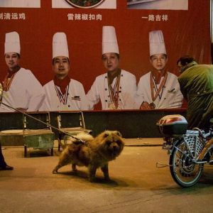 白天不懂夜的黑3