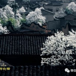 鄭劍鋒 個人攝影作品展